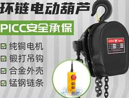 環(huán)鏈電動葫蘆升降速度失控故障的排除方案